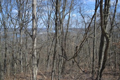 Lot 3 Plateau Ln, Kimberling City, MO 65686 - photo 7