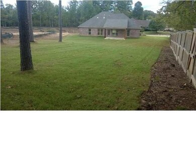 View From Backyard To Home