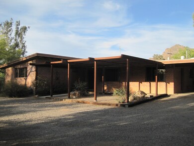 Front yard 3