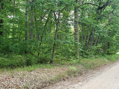 0 7th Ave, Merrill Township, MI 49309 - photo 5