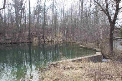 00 Morse Hill Rd, Dorset, VT 05251 - photo 2