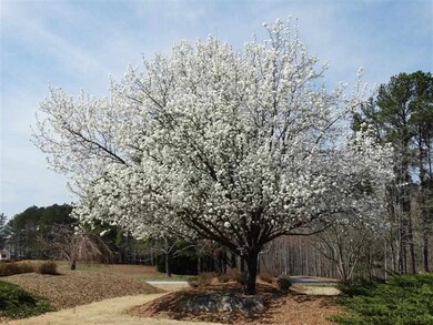 Lot 7 Acorn Dr unit Wildwood at Keowee, West Union, SC 29696 - photo 6