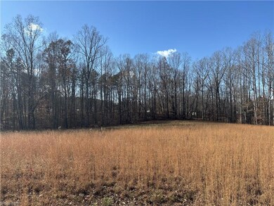 0 Bear Woods Trail, Mocksville, NC 27028 - photo 4