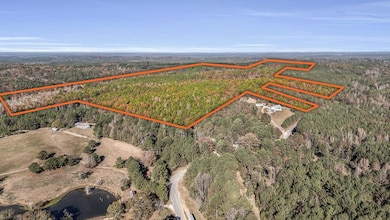 661 Cedar Tree Rd, Vernon, AL 35592 - photo 2