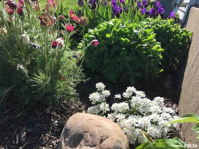 1704 Pershing Ave, Davenport, IA 52803 - photo 4