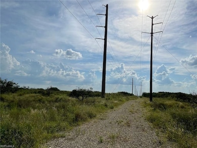 6876 5th Rd, Labelle, FL 33935 - photo 5