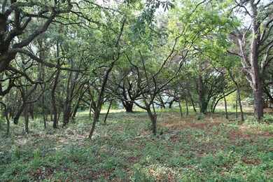 IMG_3460
