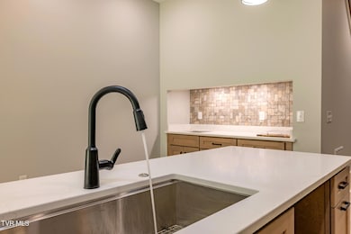 1036 Cummings St unit 1, Abingdon, VA 24211 - photo 6