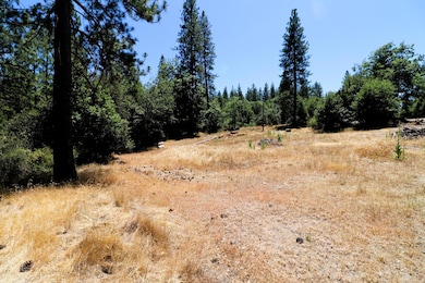 1402 Meredith Ln, Rail Road Flat, CA 95245 - photo 4