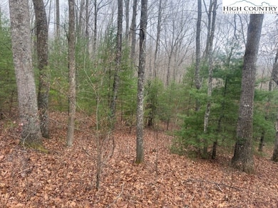 TBD Clearview Ridge, Crumpler, NC 28617 - photo 2