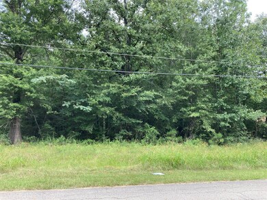 LOT 120 White Birch, Conroe, TX 77385 - photo 4