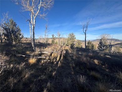 84 Pine Ridge Rd, Fairplay, CO 80440 - photo 3