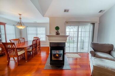 7skimmer- Fireplace