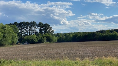 0 Airport Dr unit 1-24 64455, Melfa, VA - photo 3