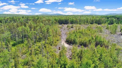 11 Forest View Dr, Effingham, NH 03882 - photo 7