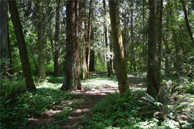 18417 Newton Rd, Bothell, WA 98012 - photo 7