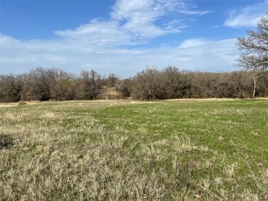 00 Rhoades Ln, Springtown, TX 76082 - photo 4
