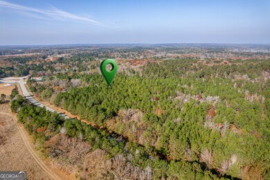 701 Twin Bridges Rd, Eatonton, GA 31024 - photo 3