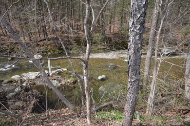 468 Ashfield Rd, Conway, MA 01341 - photo 4