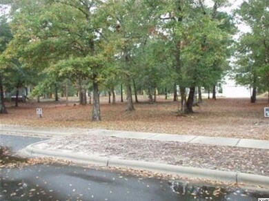9284 Dever Ct unit Lot 121, Calabash, NC 28467 - photo 4