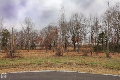 0 Diamond Valley Estates unit 10111715, Jonesboro, AR 72404 - photo 6