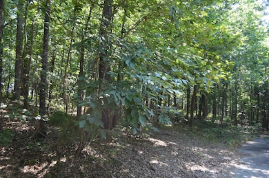 Lots 12 & 13 Timberline Dr, Heber Springs, AR 72543 - photo 7