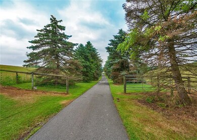 Long private drive leading you to 276 Zias Rd