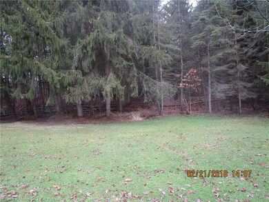 View from the back yard...lots of seclusion.