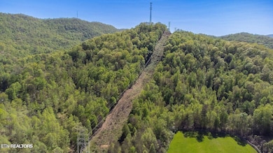 20250211184119416536000000-o