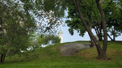 51 Beech Glen St unit 2, Roxbury, MA 02119 - photo 5