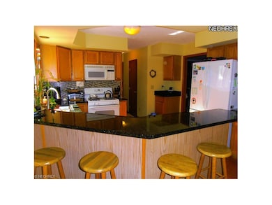 Breakfast bar -  granite counter tops and glass ti