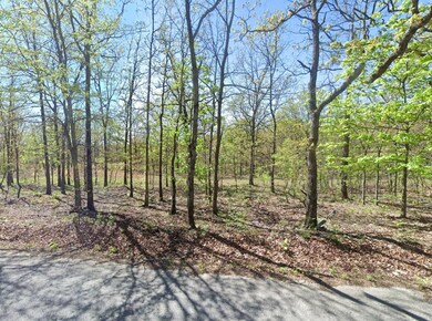 0 David Hall Blvd, Eucha, OK 74342 - photo 7