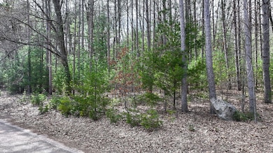 DJI_20250408144731_0311_D