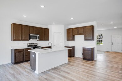 620 N Sycamore St, Hinckley, IL 60520 - photo 4