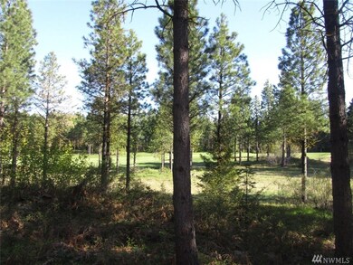 1010 Ruby King Loop, Cle Elum, WA 98922 - photo 3