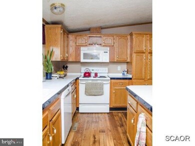 25728 Whispering Wind Ln, Millsboro, DE 19966 - photo 7