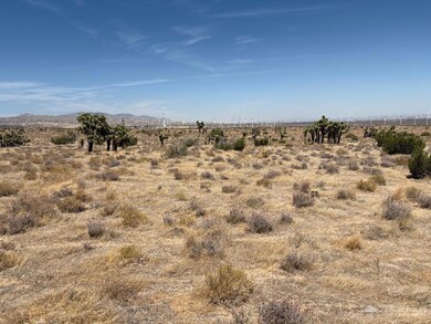 0 Tehachapi Willow Springs Rd, Mojave, CA 93501 - photo 6