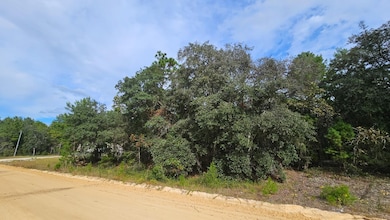 0 Michael Ave unit 25580690, Interlachen, FL 32148 - photo 3