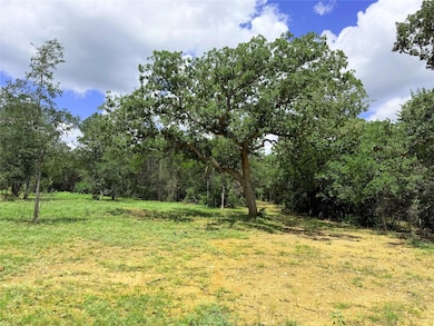 TBD Grassyville Rd, Paige, TX 78659 - photo 7