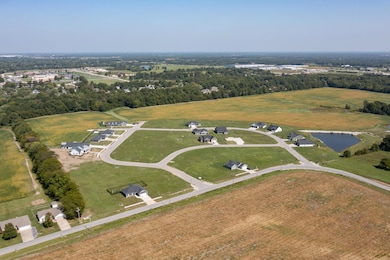 Aerial view of subdivision