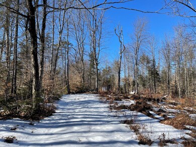 0 Reed Rd unit 4900137, Marlow, NH 03456 - photo 4