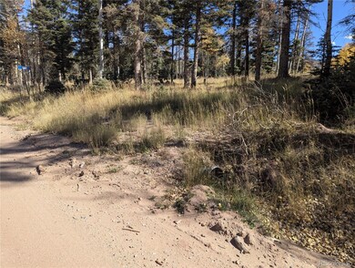 driveway with culvert from Petito Dr
