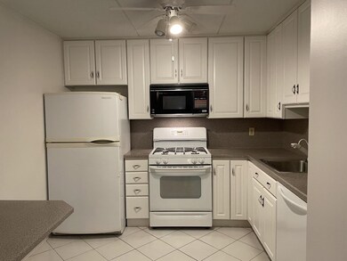 Chapel Hill West unit 325, Framingham, MA 01702 - photo 6