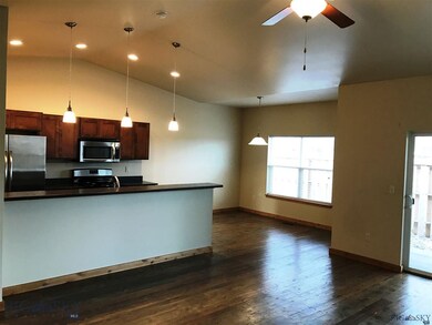Vaulted Ceilings - Open Floor Plan
