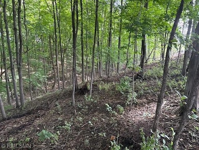 10492 Kalland Ln NE, Hanover, MN 55341 - photo 3