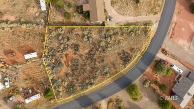 .49 Acre Lot