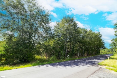 716 Settlement Rd, Travelers Rest, SC 29690 - photo 3