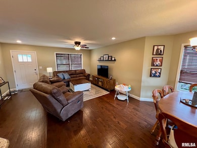 409 W Main St, Williamsville, IL 62693 - photo 3