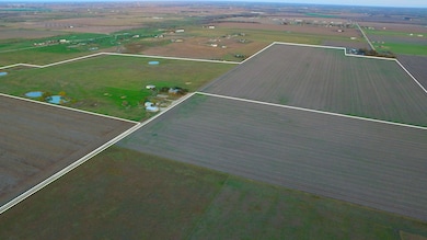 2005 County Road 405, Taylor, TX 76574 - photo 4