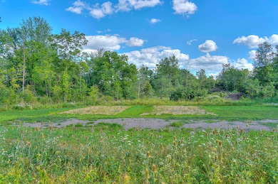 VL M60 Spring Arbor Rd 11